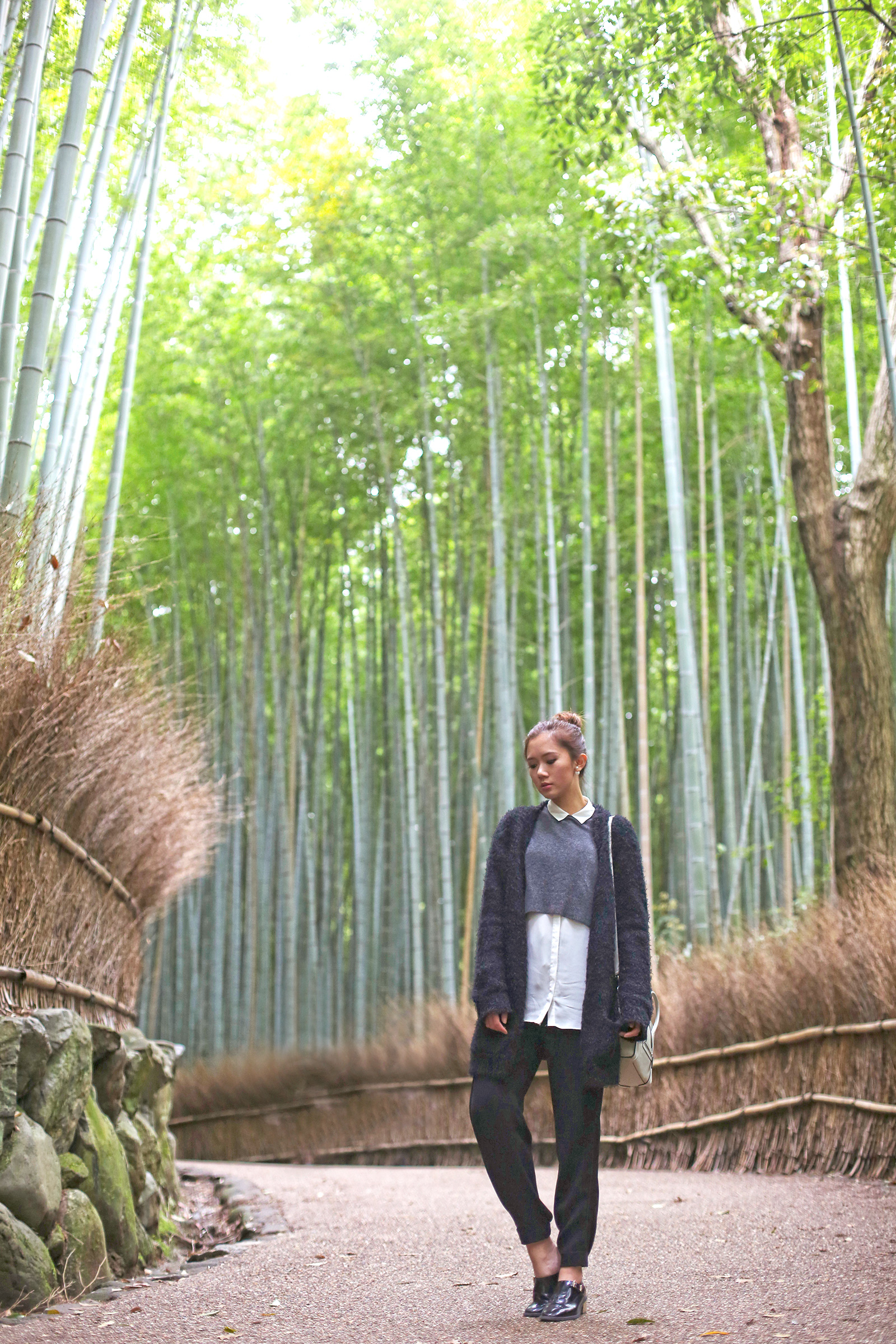 Arashimaya Bamboo Grove - www.mbrjlmcn.top